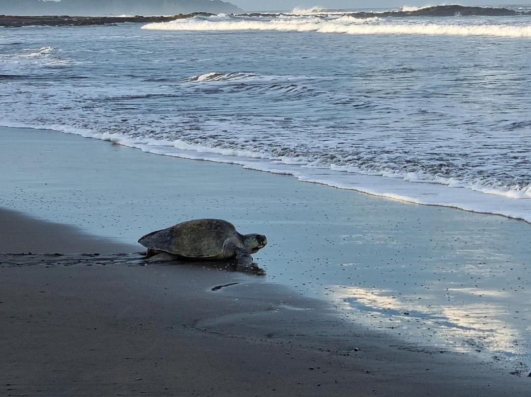 Casa De Playa Paraiso Terrenal San Juanillo Zewnętrze zdjęcie